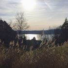 Blick auf den reflektierenden Bodensee ...