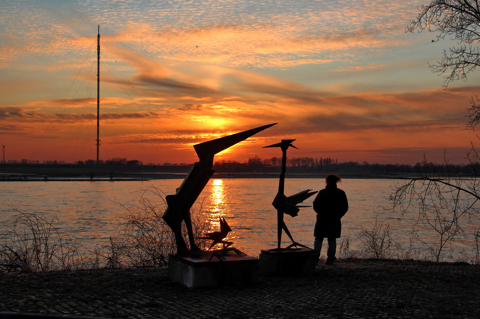 Blick auf den Rhein