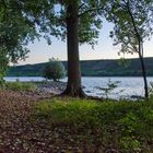 Blick auf den Rhein