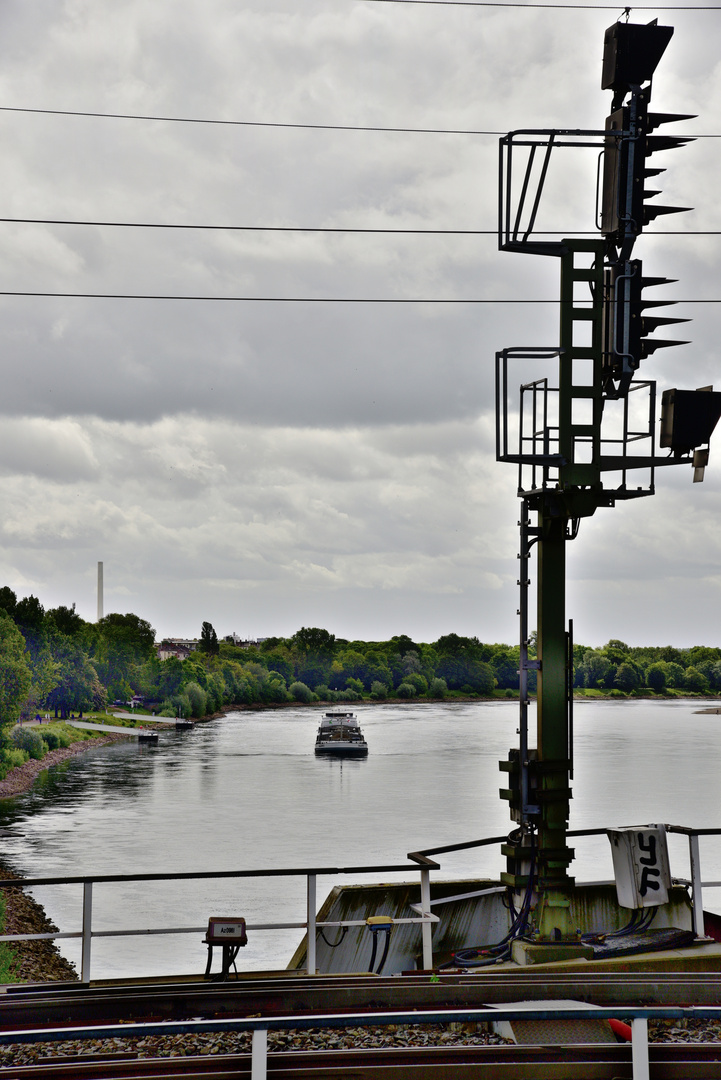 Blick auf den Rhein