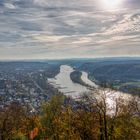 Blick auf den Rhein