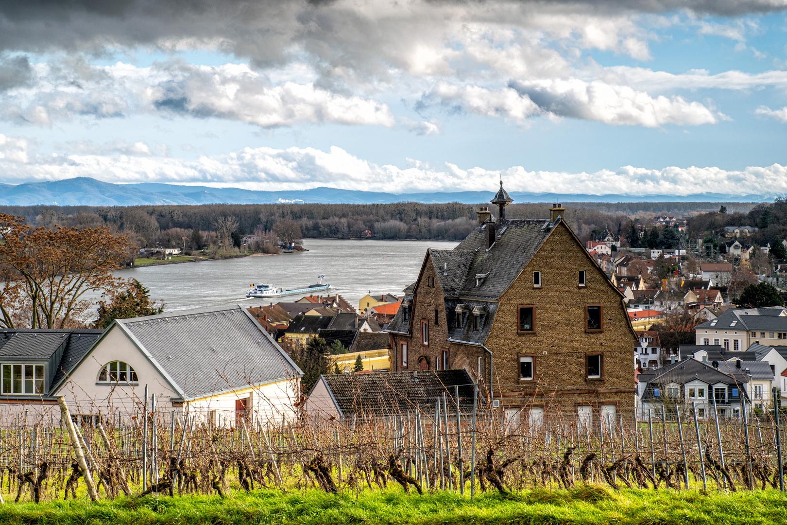 Blick auf den Rhein