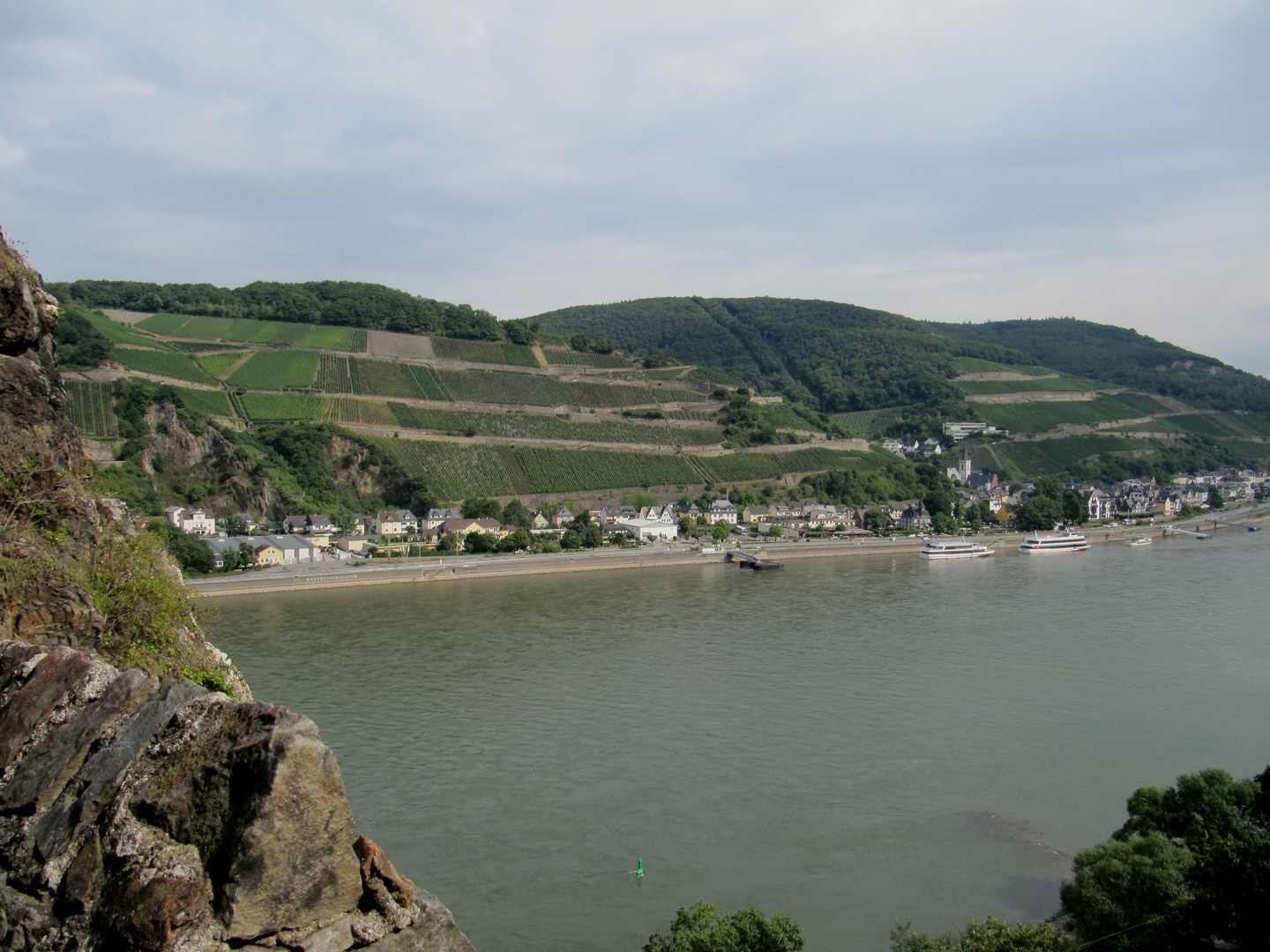 Blick auf den Rhein