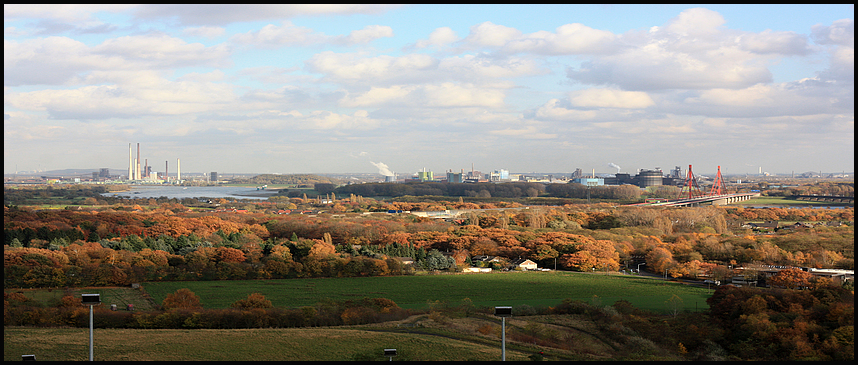 Blick auf den Rhein