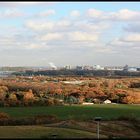 Blick auf den Rhein