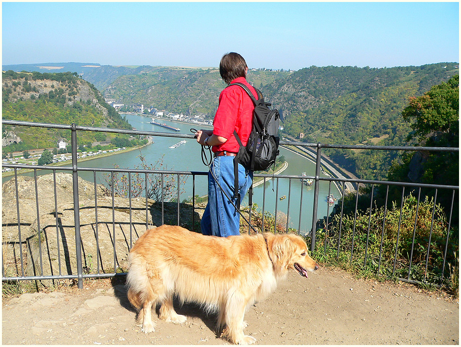 Blick auf den Rhein