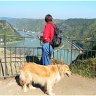 Blick auf den Rhein