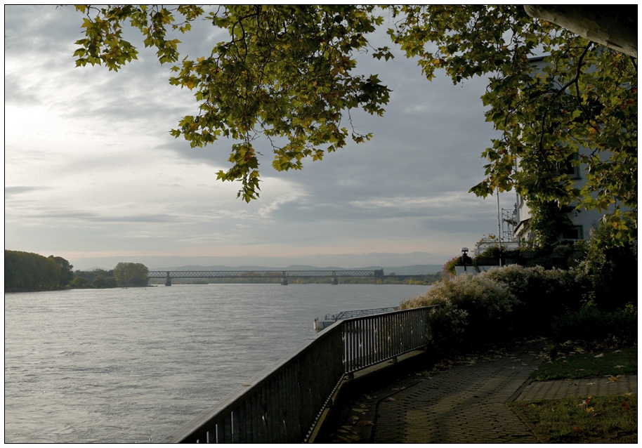 Blick auf den Rhein bei Engers