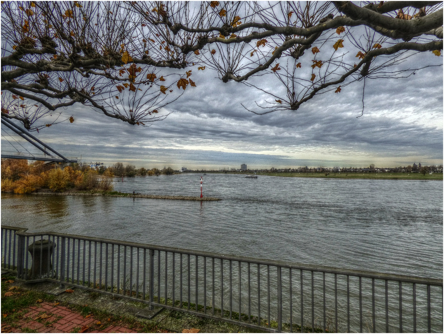 Blick auf den Rhein