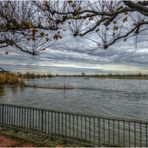 Blick auf den Rhein