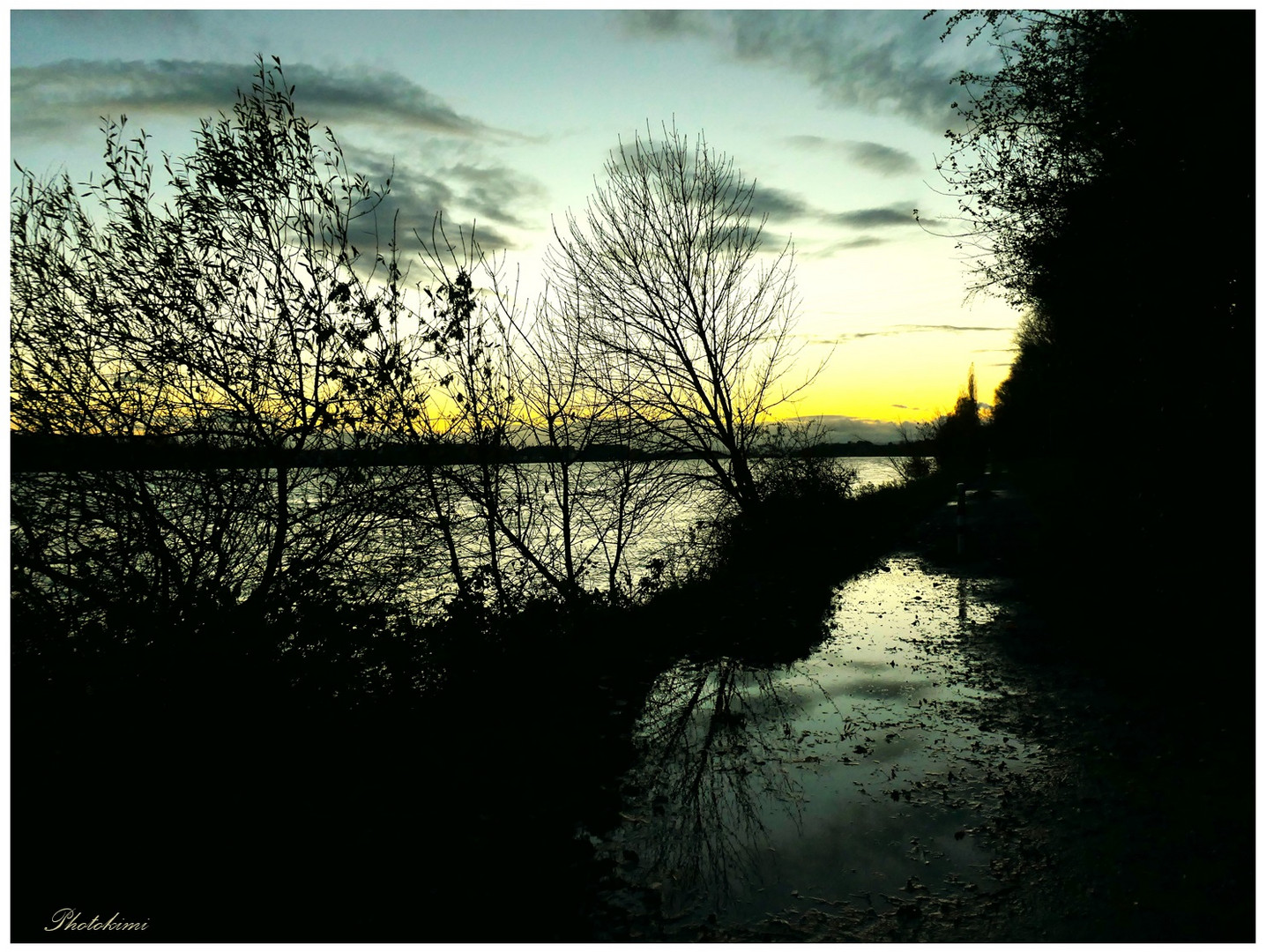 Blick auf den Rhein durch die Ufer Gebüsche