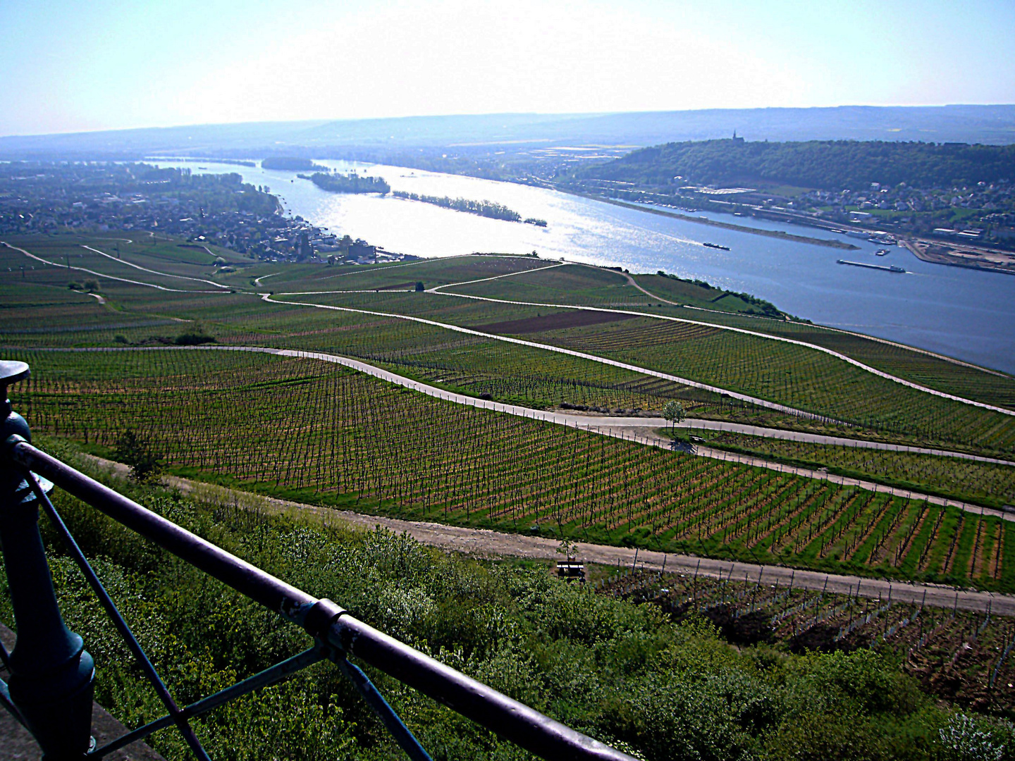 Blick auf den Rhein im Rheingau und auf Bingen.