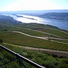 Blick auf den Rhein im Rheingau und auf Bingen.