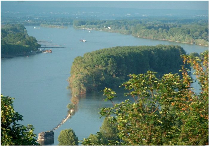 Blick auf den Rhein (rocholusberg)