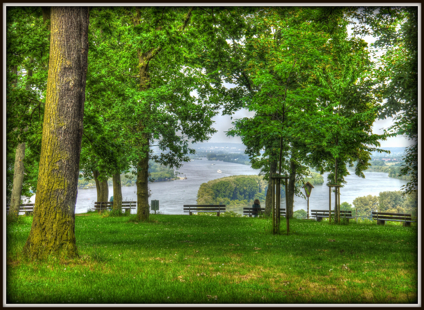 Blick auf den Rhein-Rochusberg-Bingen am Rhein