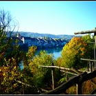 Blick auf den Rhein und die CH