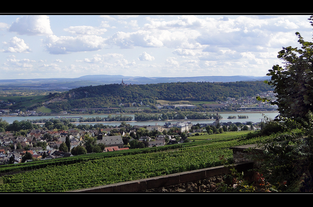Blick auf den Rhein und Rüdesheim-Eibingen