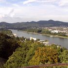 Blick auf den Rhein - Wildpark Rolandseck