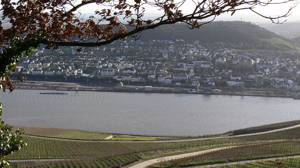 Blick auf den Rhein - Winter