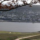 Blick auf den Rhein - Winter