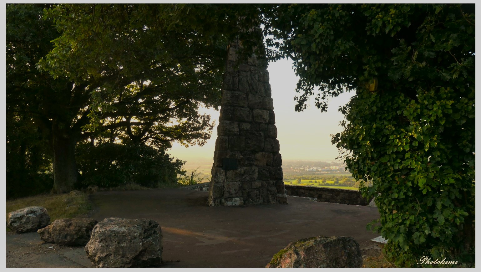 Blick auf den Rheingau