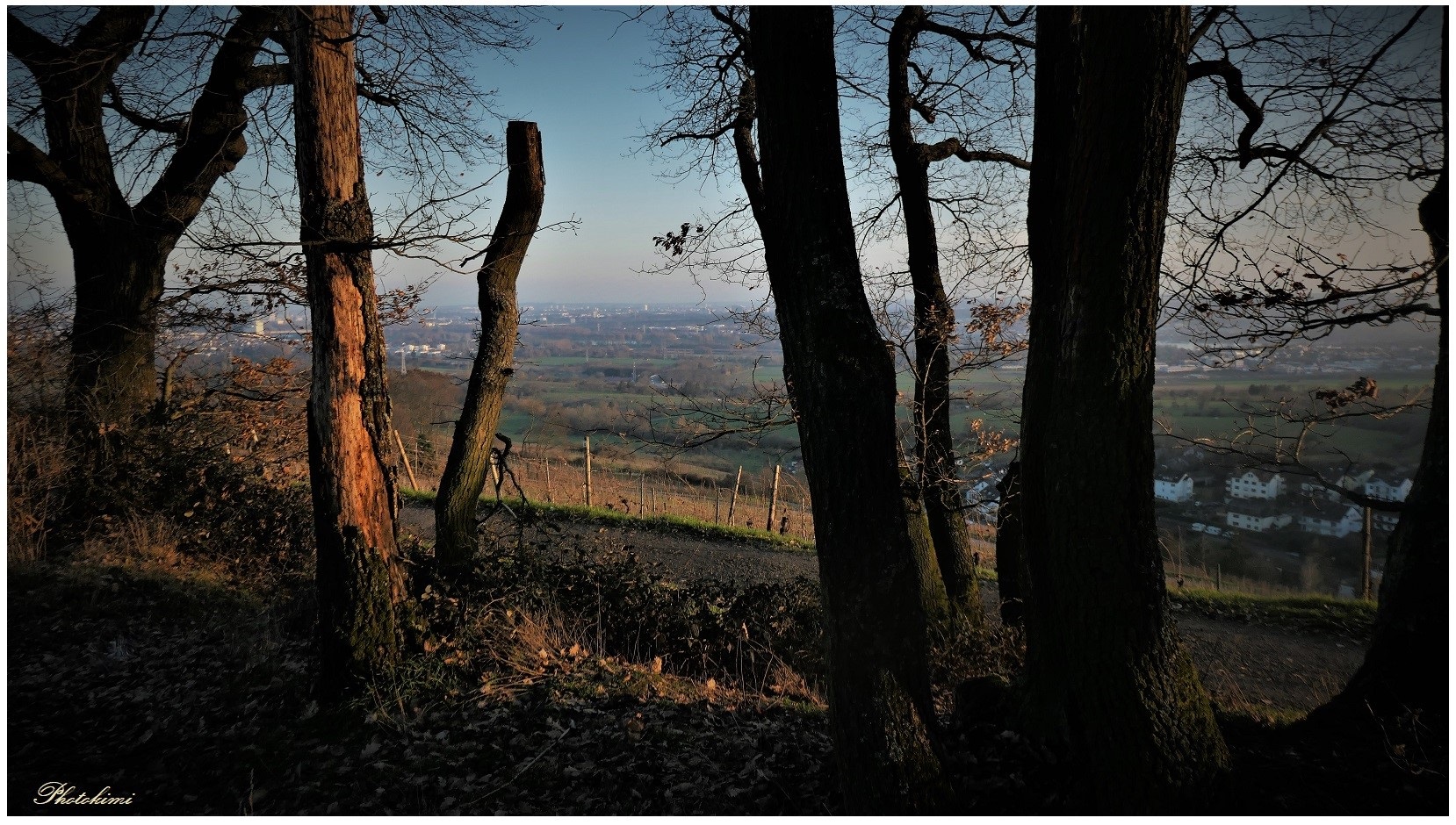 Blick auf den Rheingau im Abendlicht