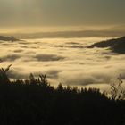 Blick auf den Rio Bio Bio im Morgennebel