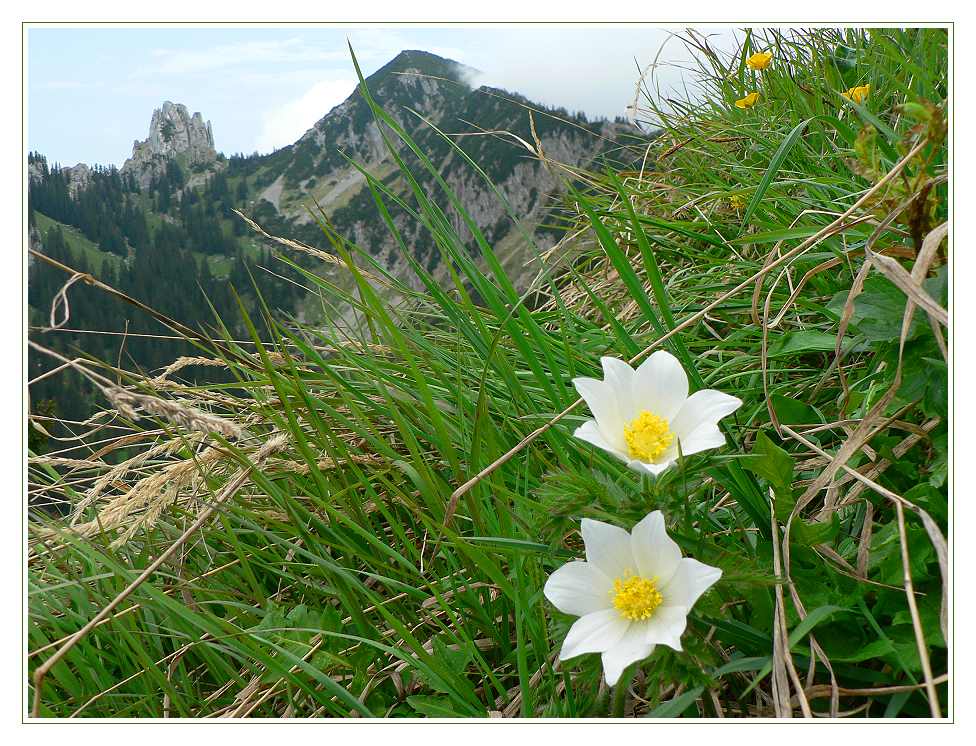 Blick auf den Risserkogel (1.826m)