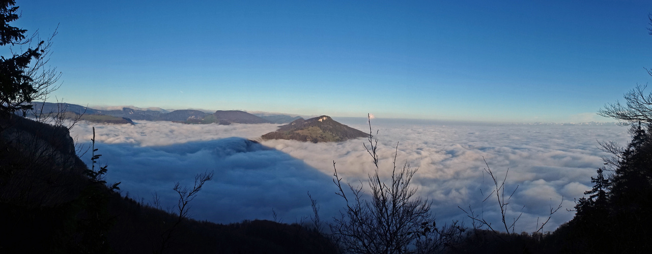 Blick auf den Roggen