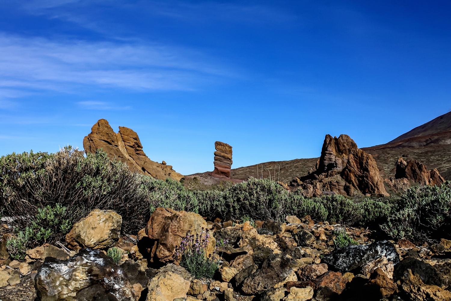 Blick auf den Roque Cinchado