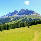 Blick auf den Rosengarten