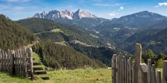 Blick auf den Rosengarten