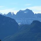 Blick auf den Rosengarten