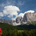 Blick auf den Rosengarten