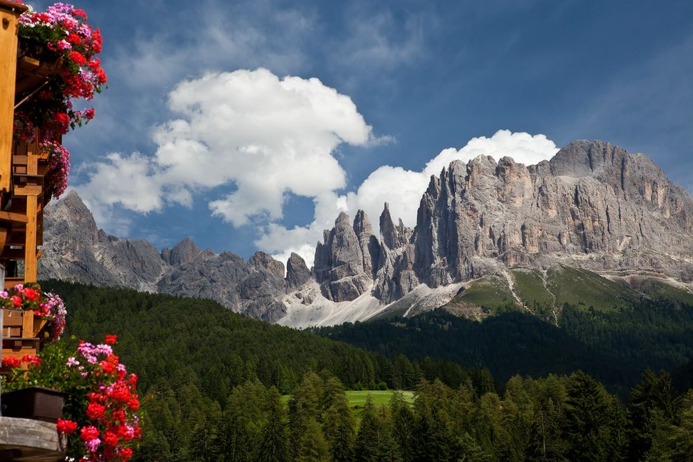 Blick auf den Rosengarten