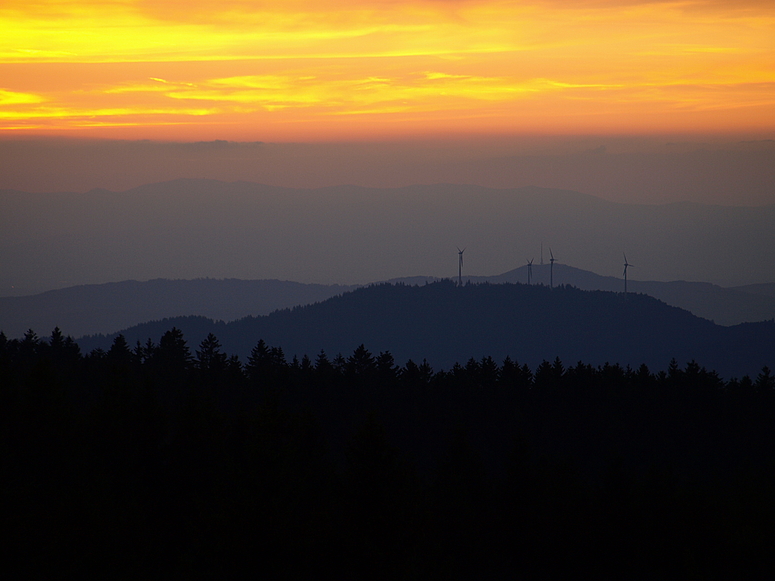 Blick auf den Roßkopf von Breitnau