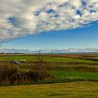 Blick auf den Saaler Bodden