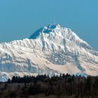 Blick auf den Säntis ...