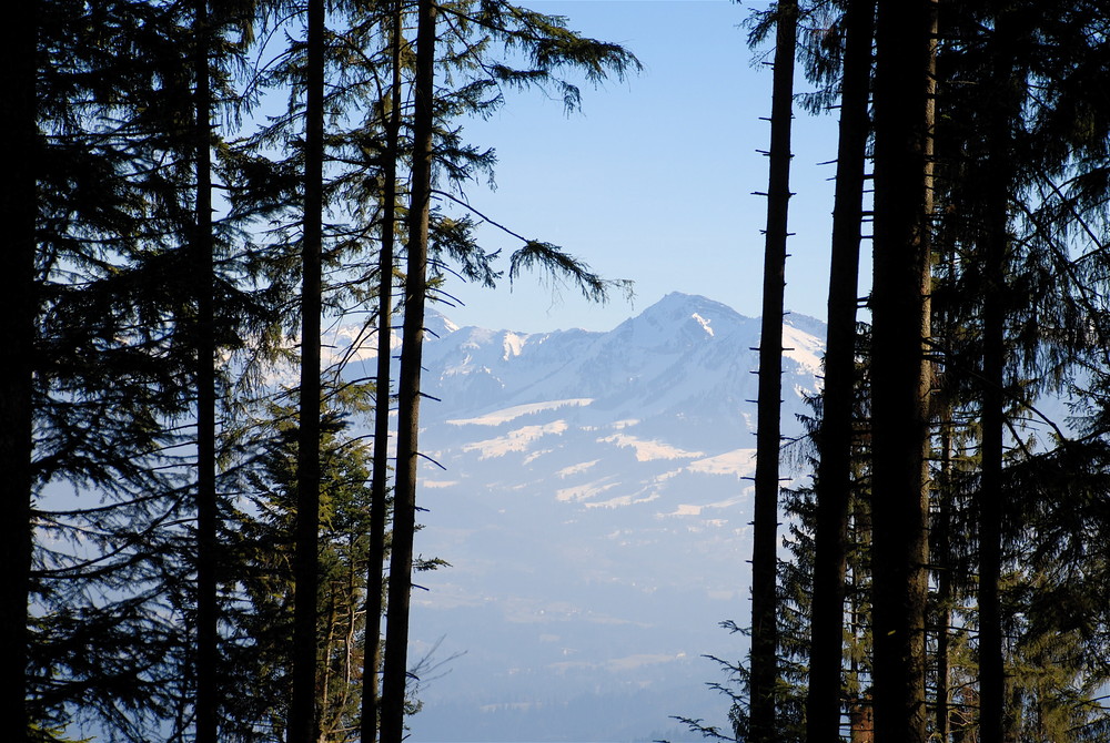 Blick auf den Säntis ...