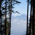 Blick auf den Säntis ...