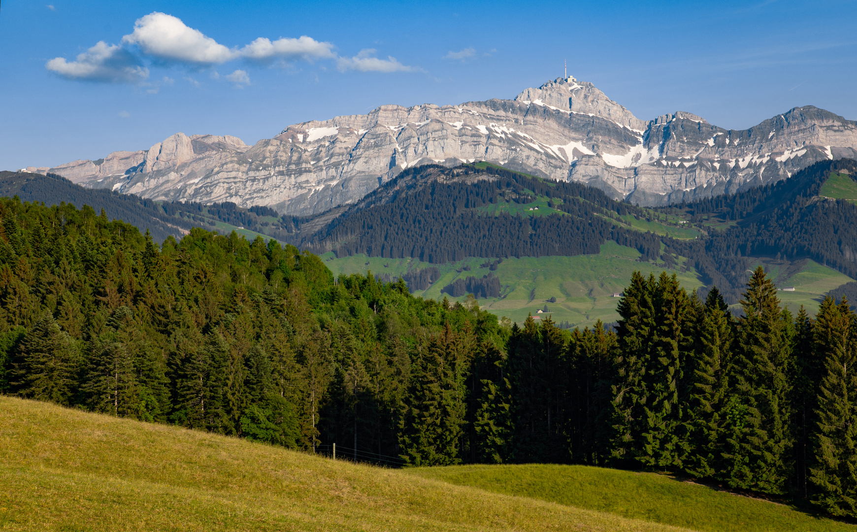 Blick auf den Säntis