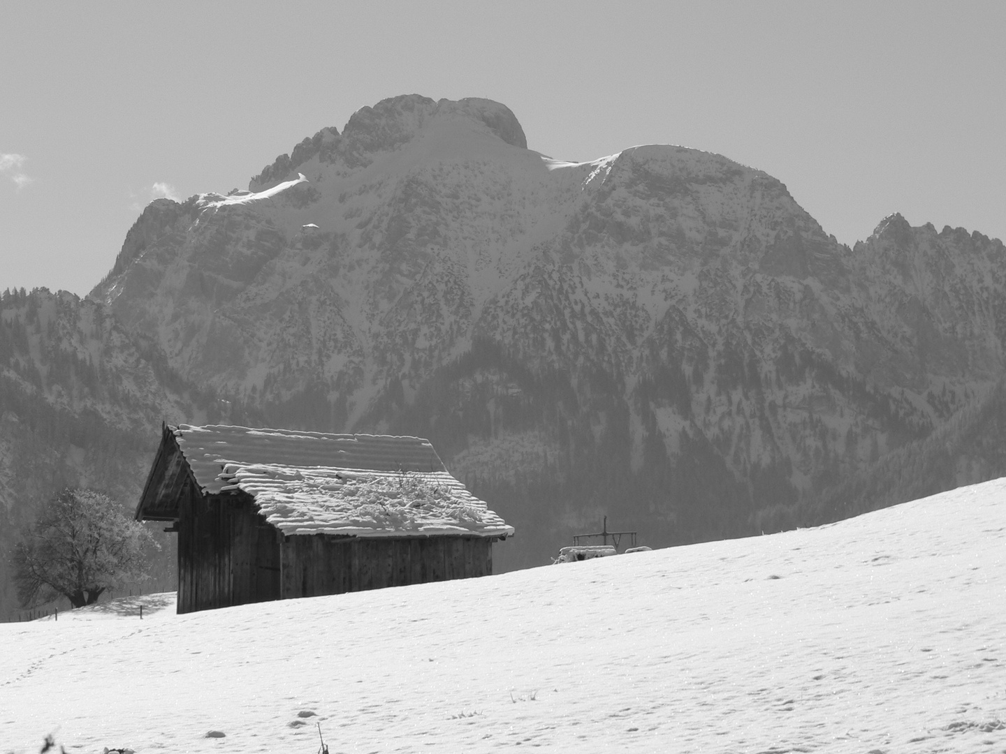 Blick auf den Säuling