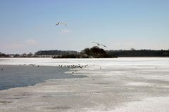 Blick auf den Schaalsee in Zarrentin