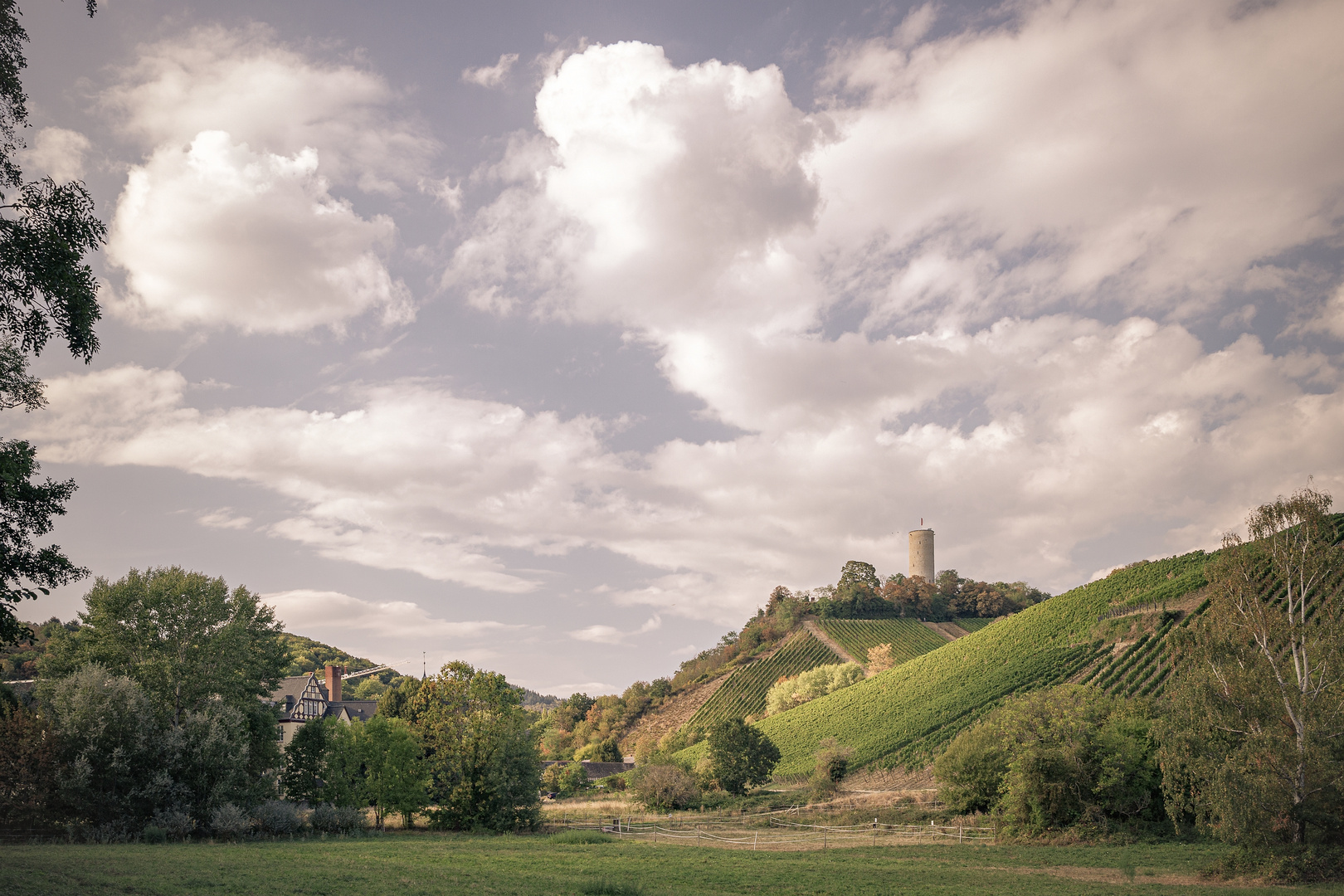 Blick auf den Scharfenstein in Kiedrich....