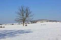 Blick auf den Schleißberg