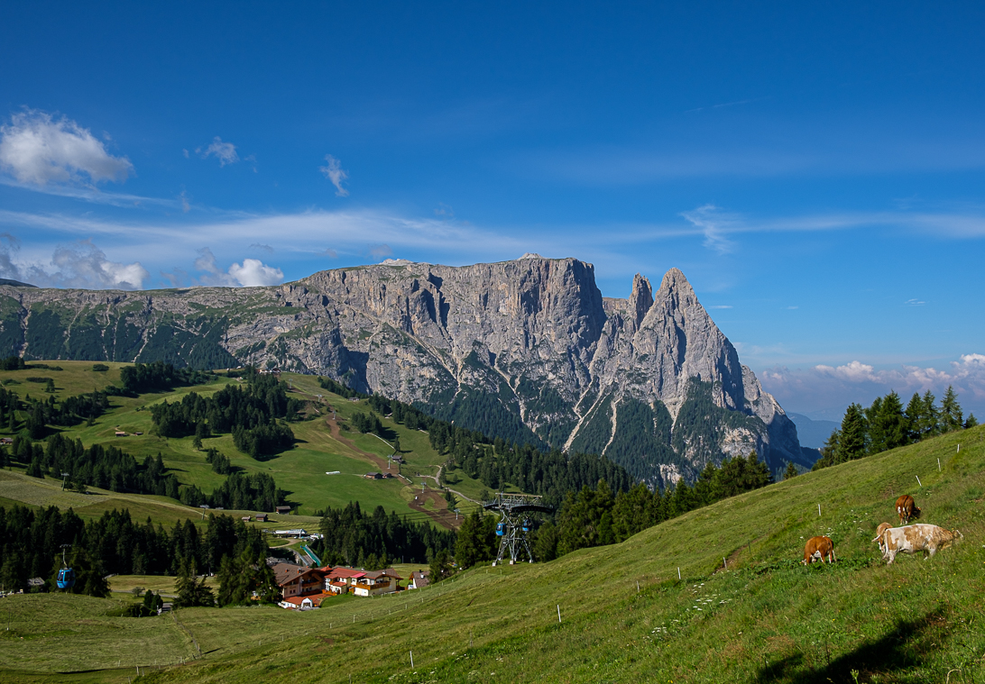 Blick auf den Schlern