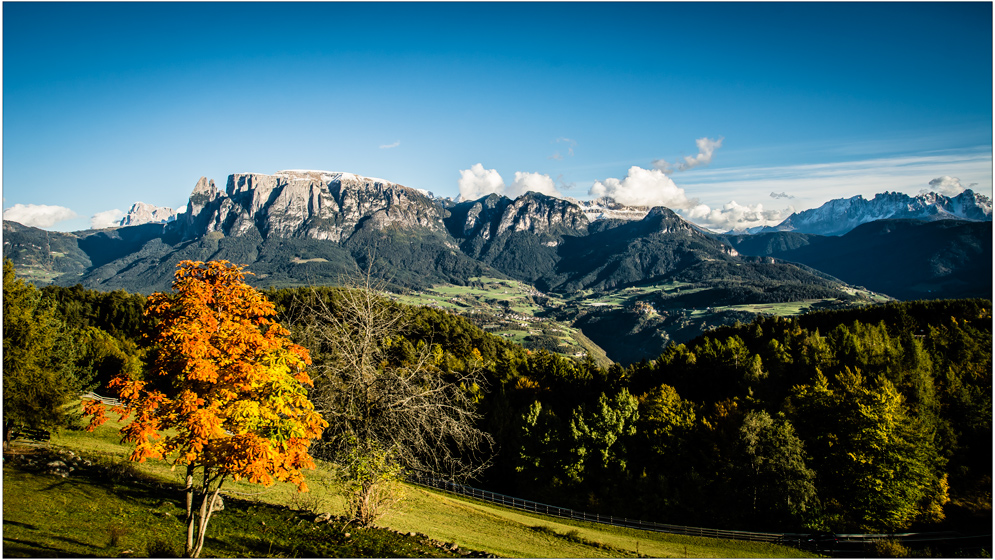 Blick auf den Schlern