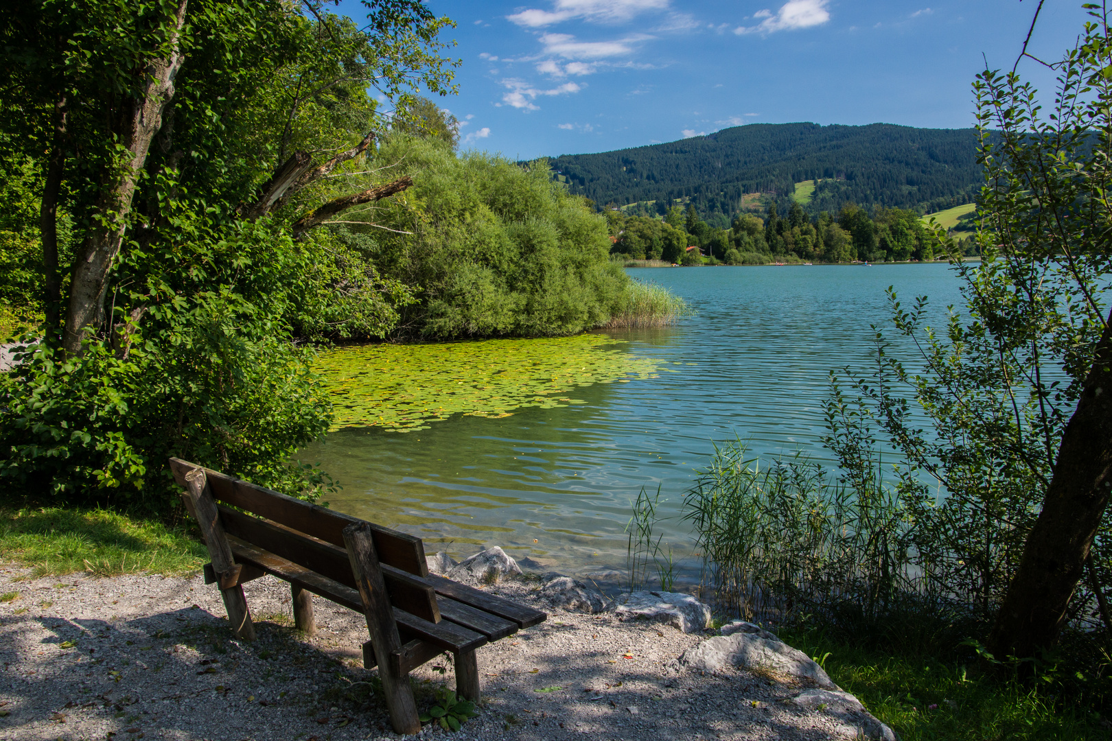 Blick auf den Schliersee