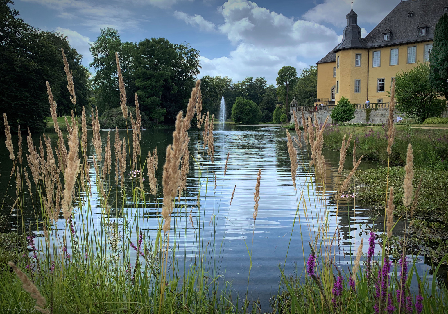 Blick auf den Schlossgartenteich