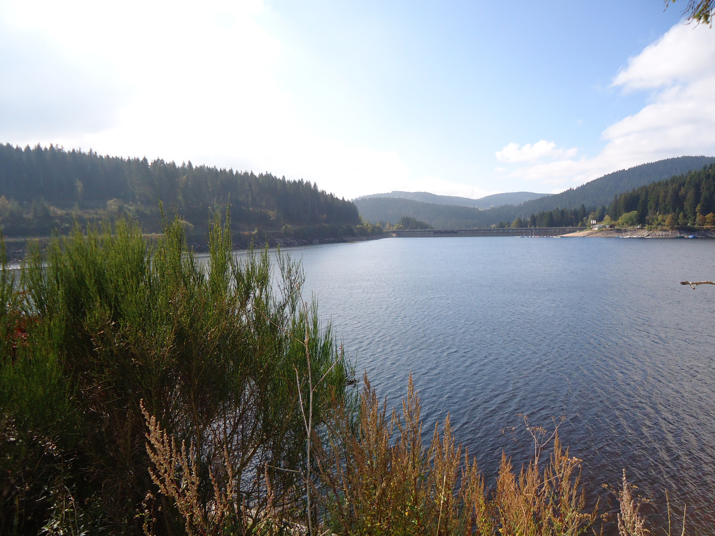 Blick auf den Schluchsee